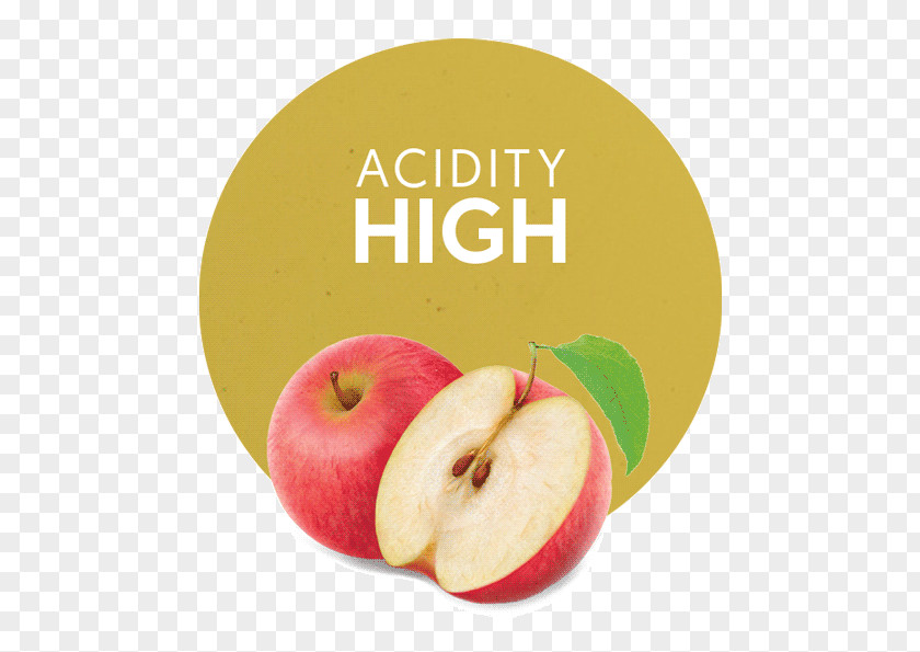 Healthy Apple Juice Concentrate Superfood Acid Diet Food Product PNG