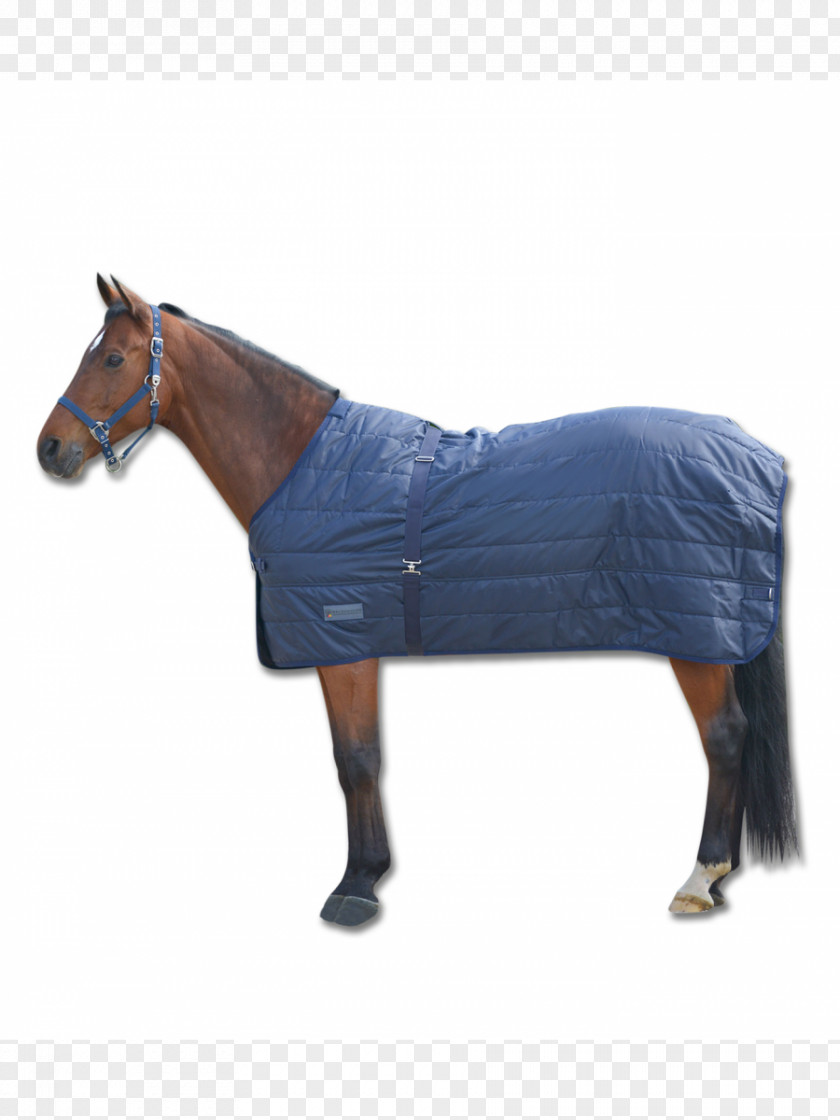 Horse Blanket Duvet Quilt PNG