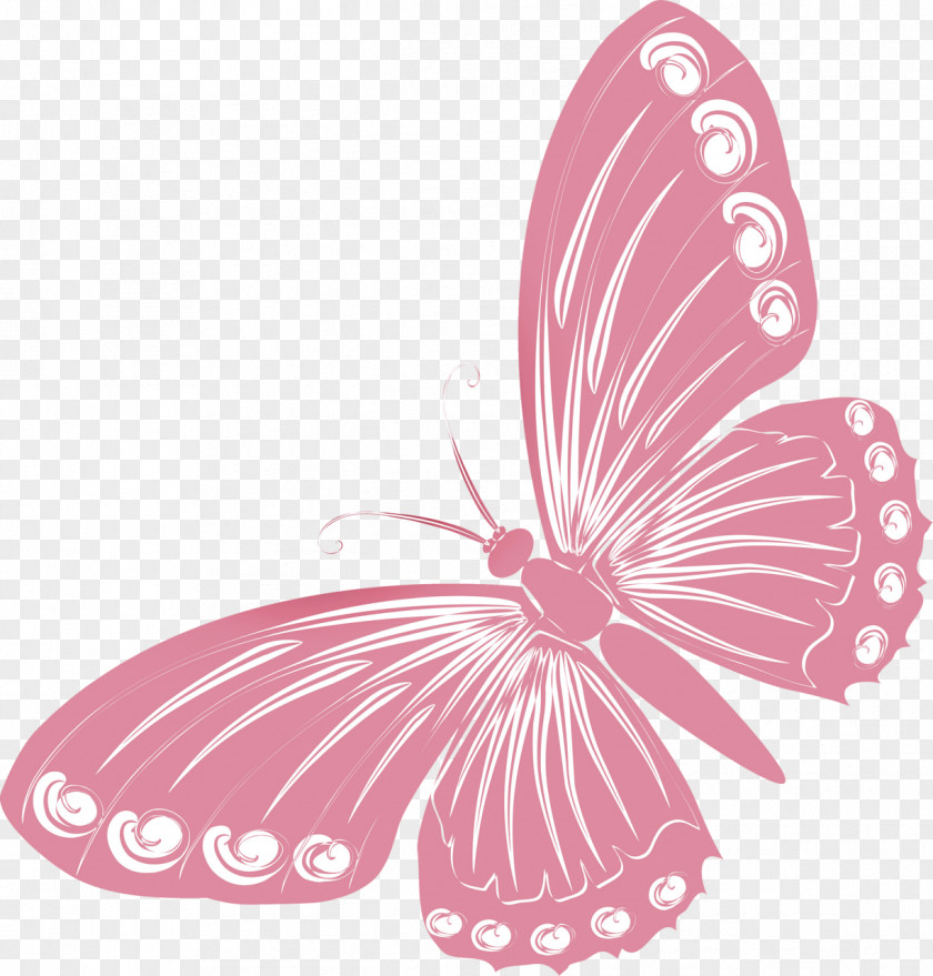 Pink Butterfly Drawing Clip Art PNG