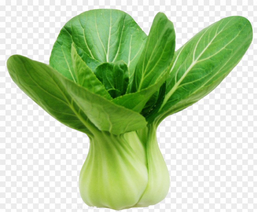 Shanghai Green Cabbage Chinese Cuisine Vegetable Hot Pot PNG
