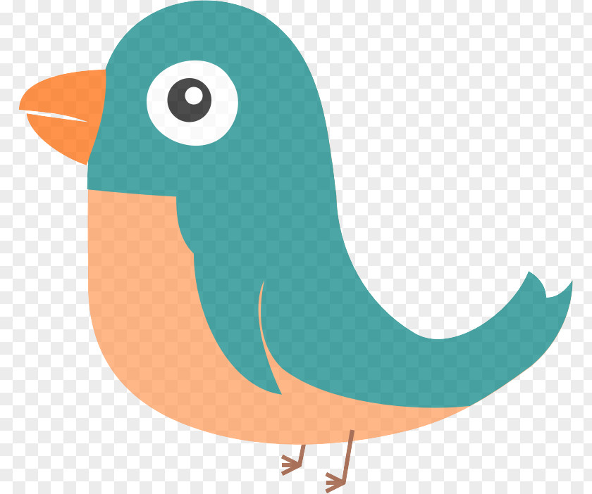 Tail Perching Bird Beak Clip Art Pigeons And Doves PNG