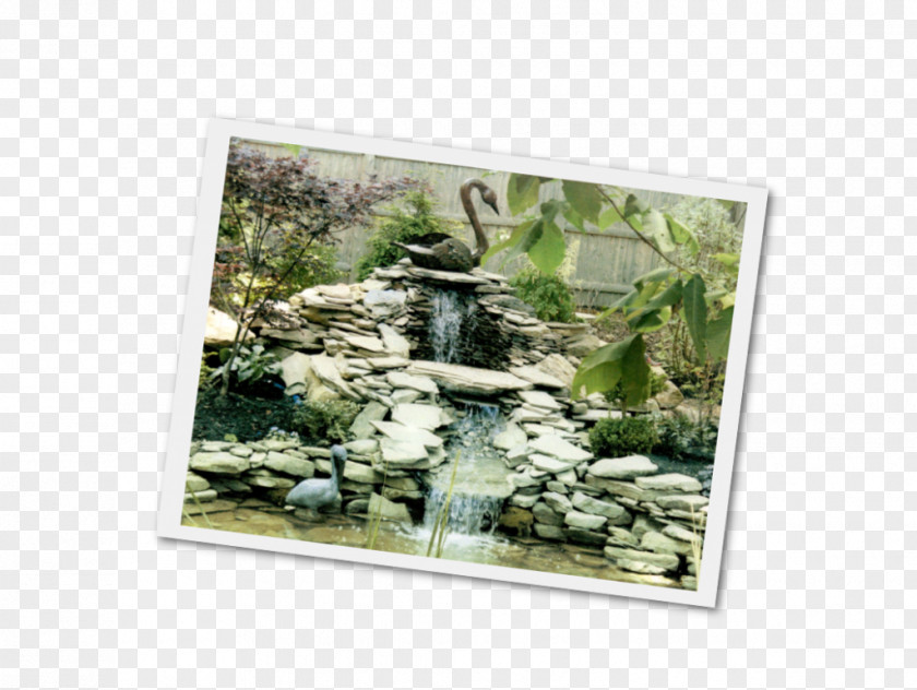 Waterfall Scenery Brookside Gardens Water Garden Design Landscaping PNG