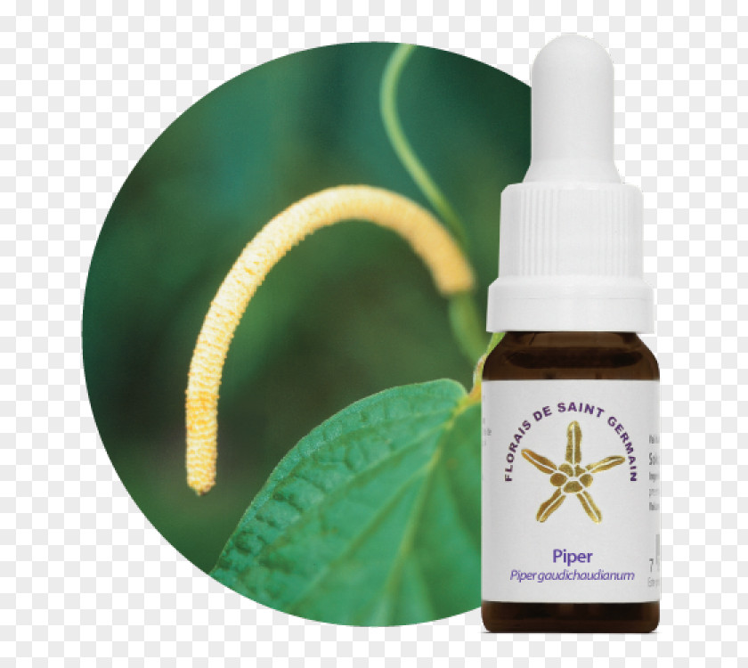 Capim Bach Flower Remedies Homeopathy Phytotherapy Alternative Health Services PNG