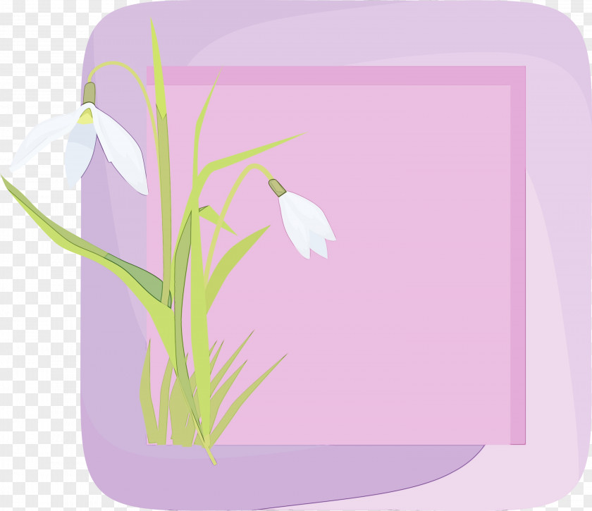 Floral Design PNG