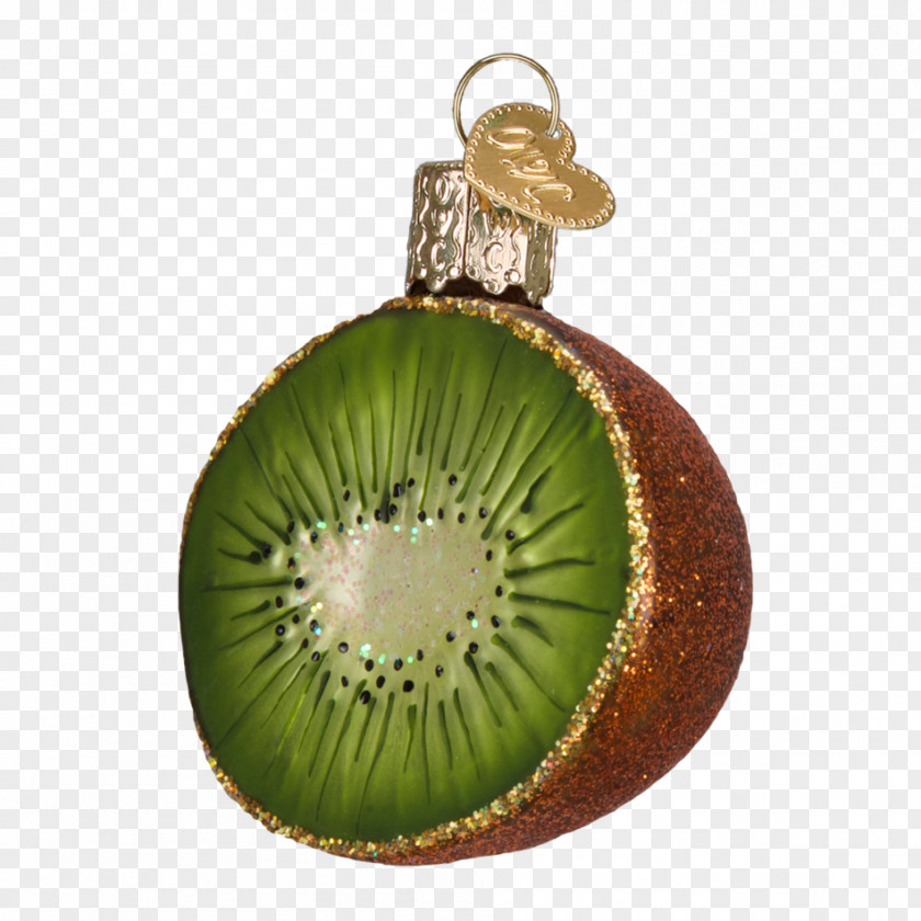 Hand-painted Kiwi Christmas Ornament Santa Claus Tree Holiday PNG