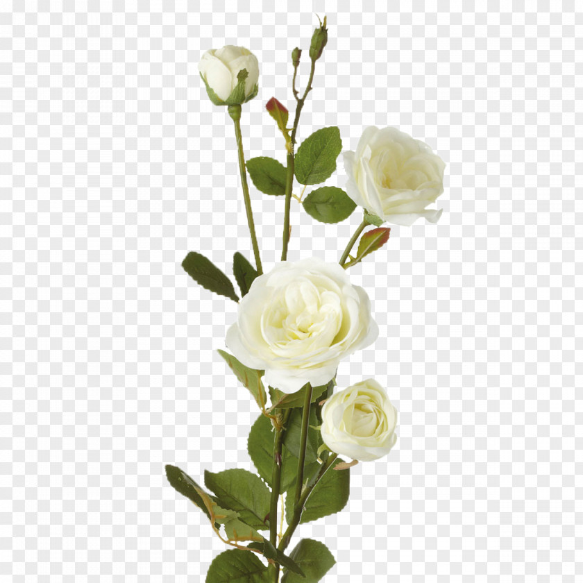 Rose Garden Roses Flower Bouquet PNG