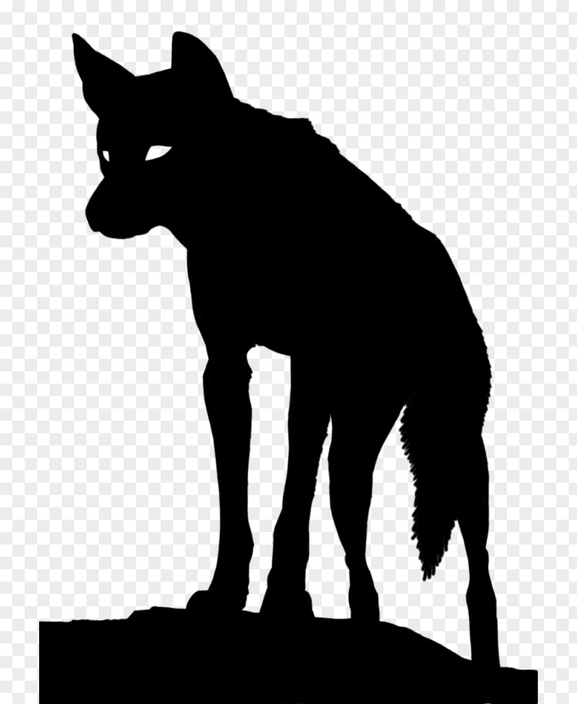 Silhouette Dingo Coyote Clip Art PNG