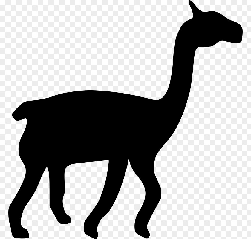 Silhouette Llama Drawing Clip Art PNG
