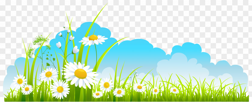 Spring Decor Sky Grass And Camomile Clipart Clip Art PNG