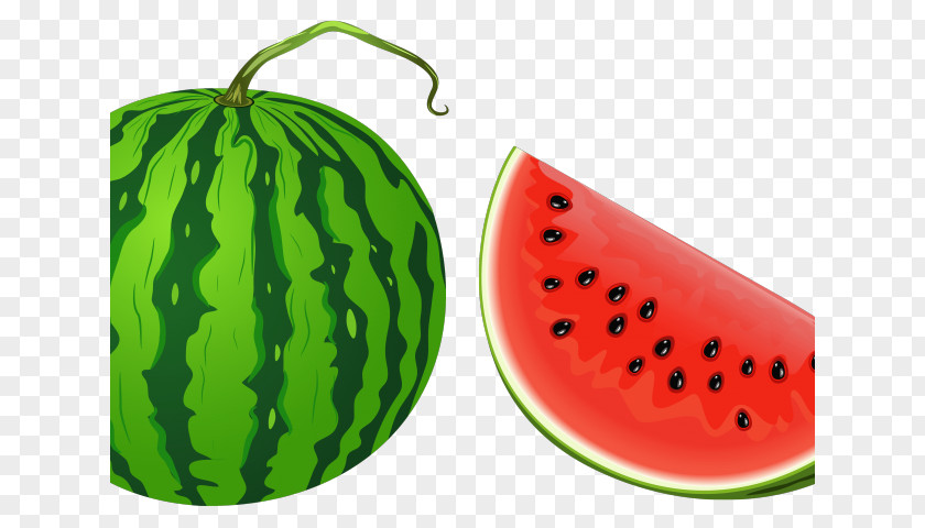 Watermelon Clip Art Vector Graphics Image PNG
