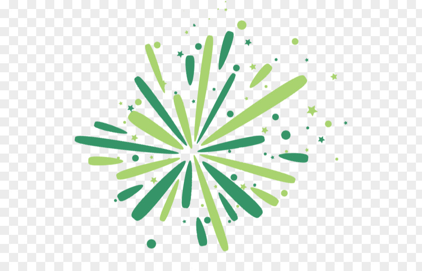 Festival Fireworks Graphic Design Logo Circle PNG