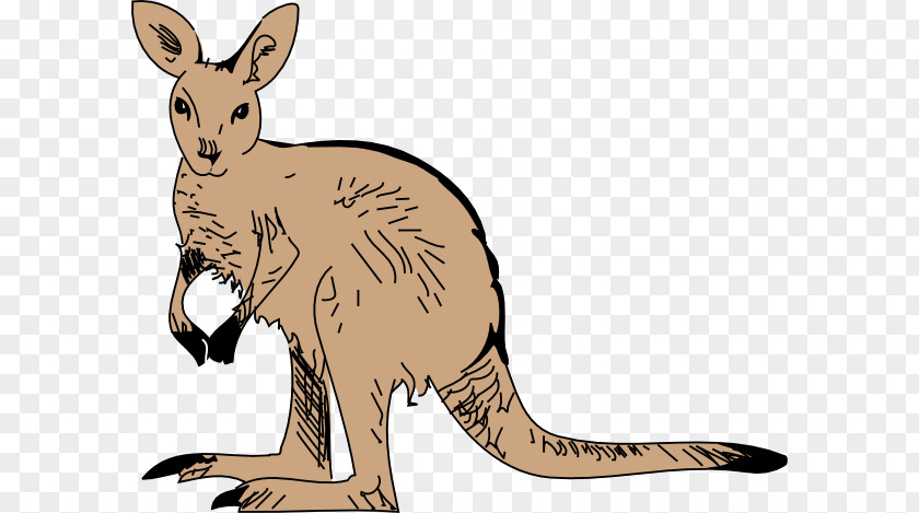 Free Wildlife Clipart Kangaroo Content Clip Art PNG