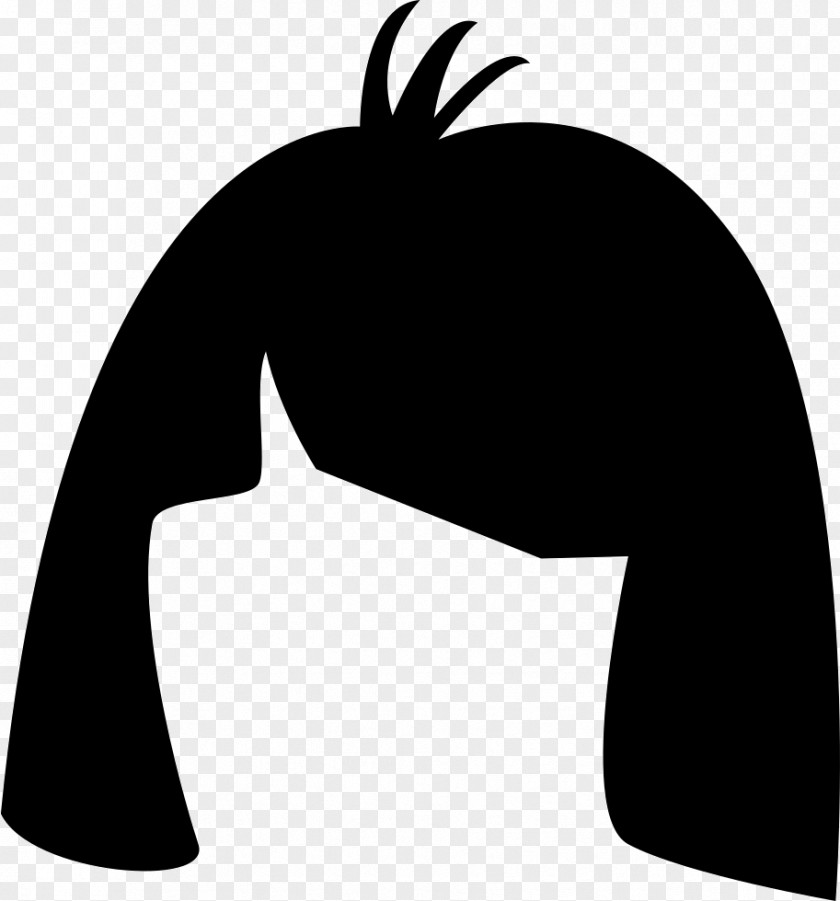 Hair Black Cabelo Wig Hairstyle PNG