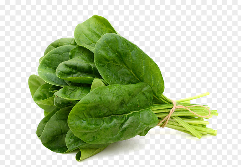 Vegetable Spinach Leaf Food Stock Photography PNG