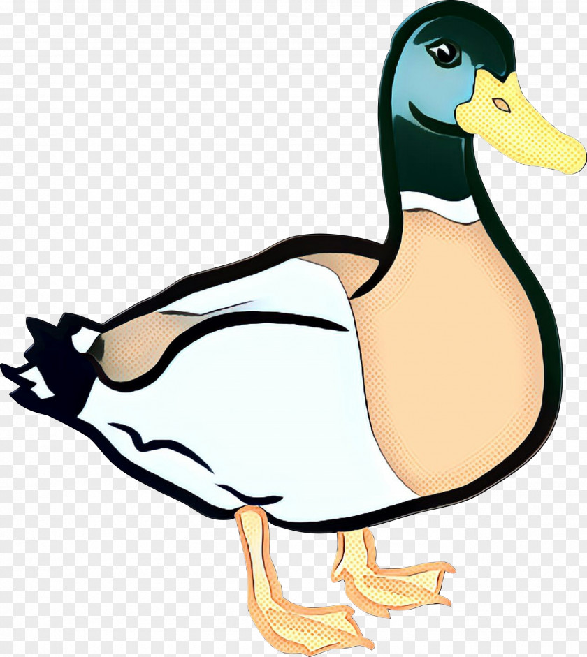 Donald Duck Clip Art Vector Graphics American Pekin PNG