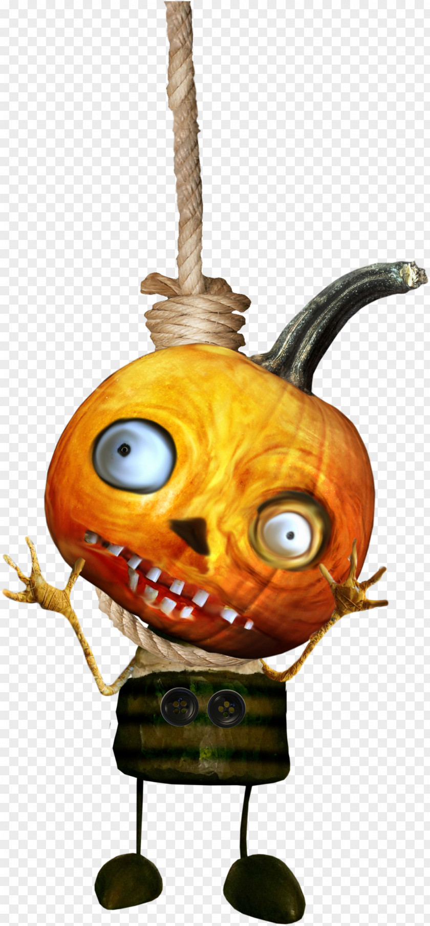 Pumpkin Calabaza Jack-o'-lantern Cucurbita PNG