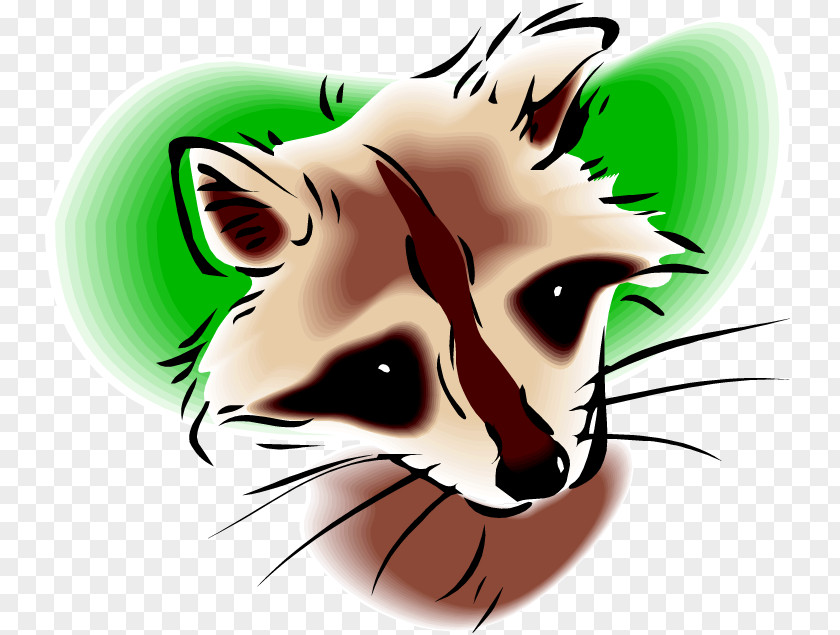 Raccoon Clip Art Whiskers Illustration Image PNG