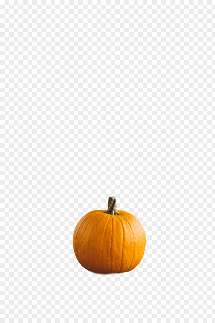 Squash Winter Calabaza 0jc PNG