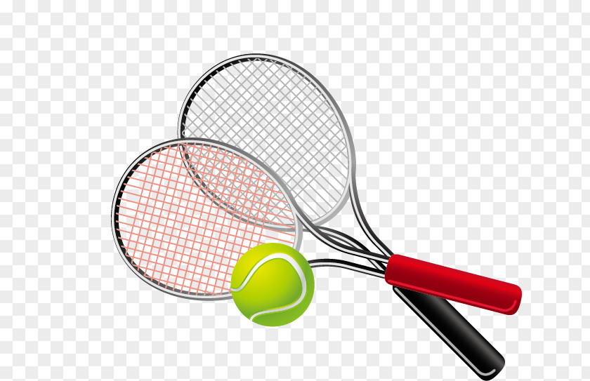 Fitness Equipment Tennis Sport Download PNG