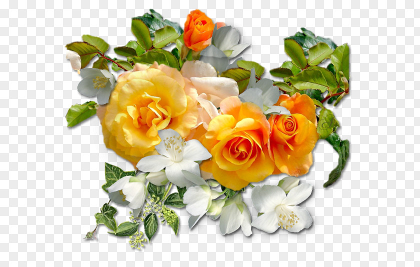 Flower Garden Roses Clip Art Blog PNG
