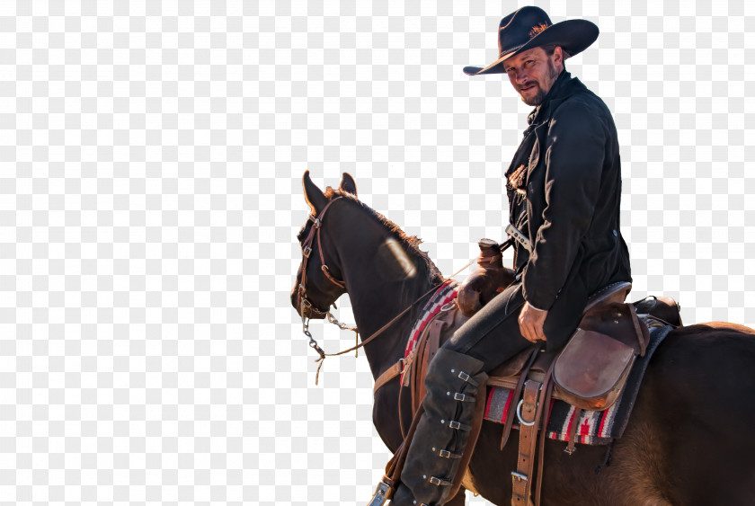 Horse Charles Goodnight Historical Center Under The Stars Cowboy Plains Equestrian PNG