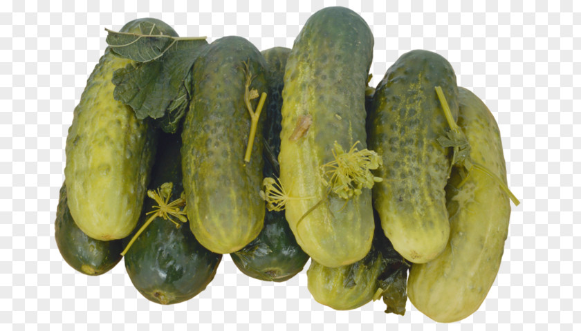 Pickled Cucumber Pickle Soup Kharcho Russian Cuisine PNG