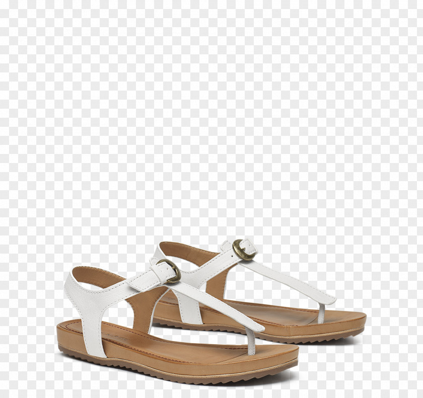 Sandal Shoe World Wide Web Product Leather PNG