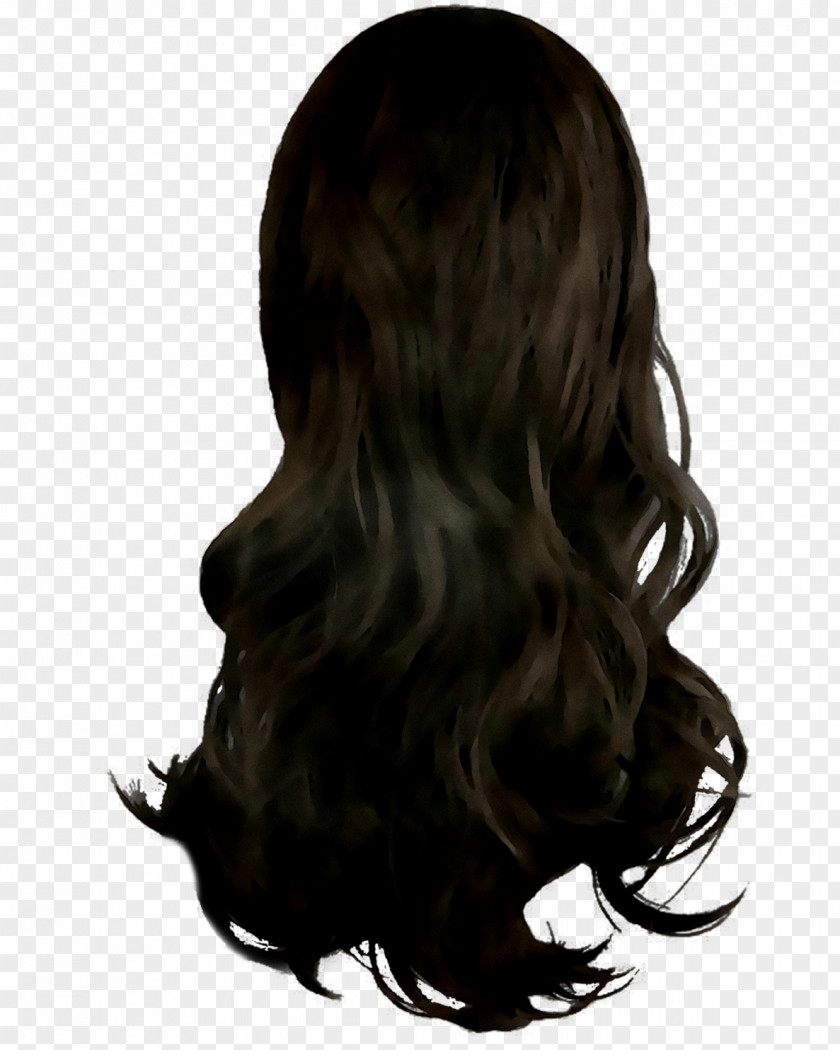Black Hair Coloring Long Brown PNG