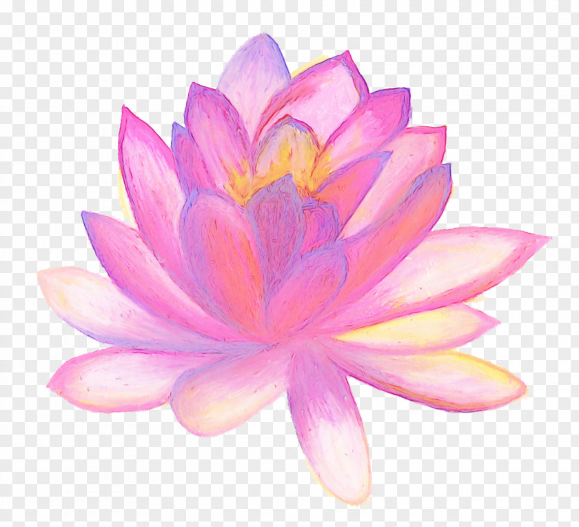 Drawing Clip Art Image Flower PNG