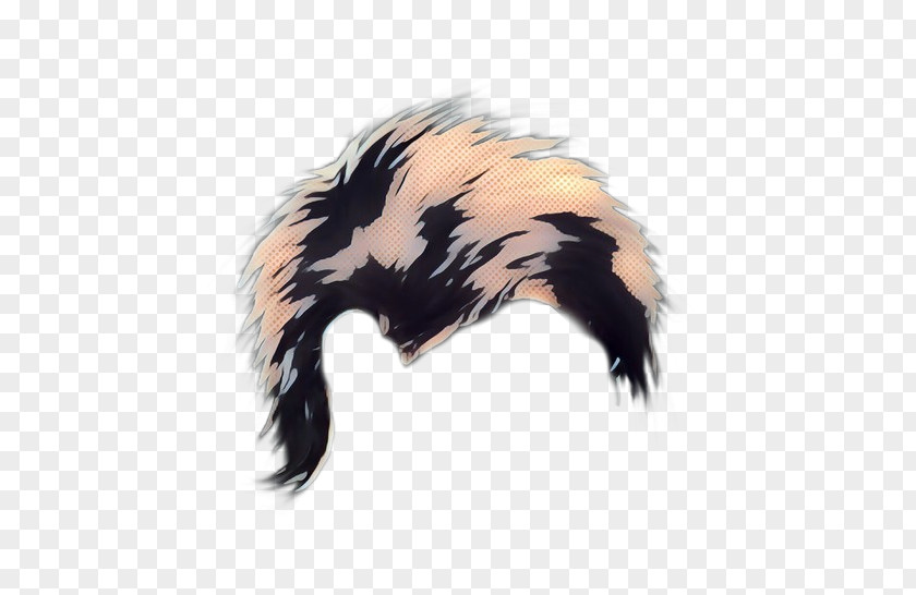 Ear Skunk Fur Striped PNG