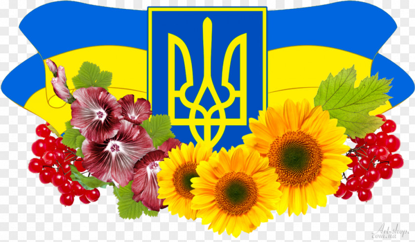Flag Of Ukraine Coat Arms Государственные символы Украины PNG