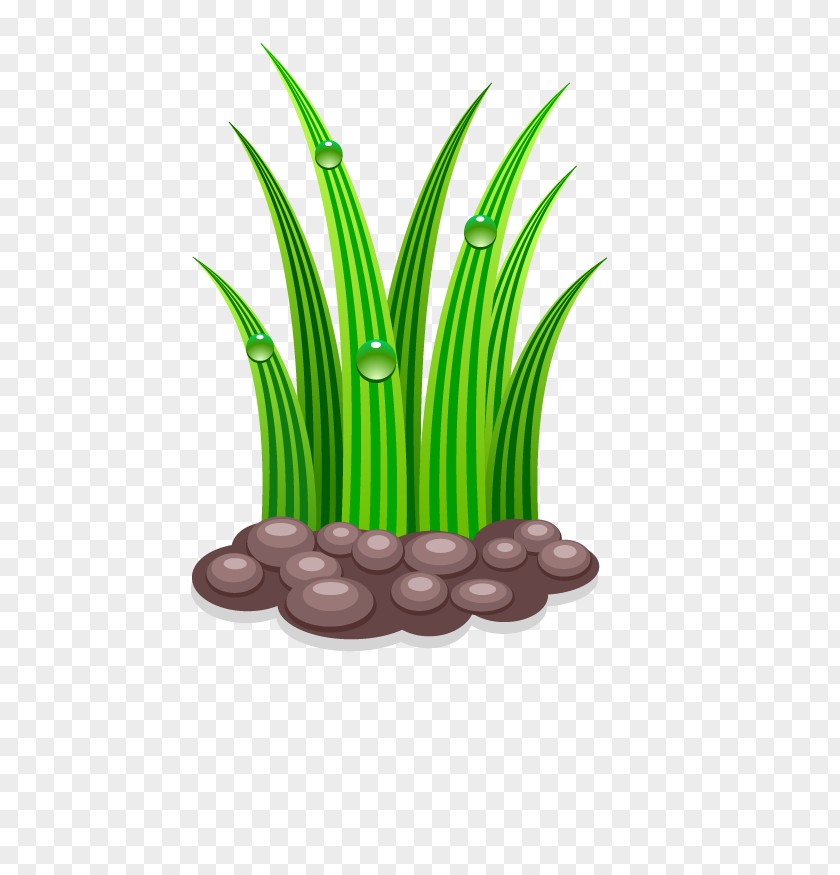 Green Grass Gardening Watering Can PNG