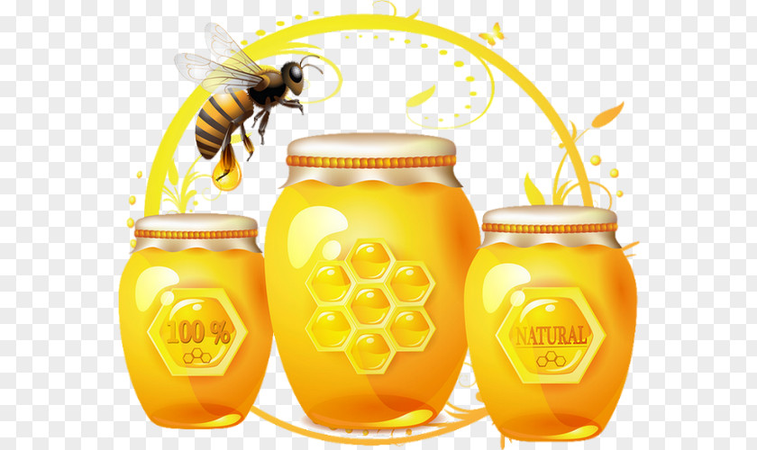 Honey Theme Bee Honeycomb PNG