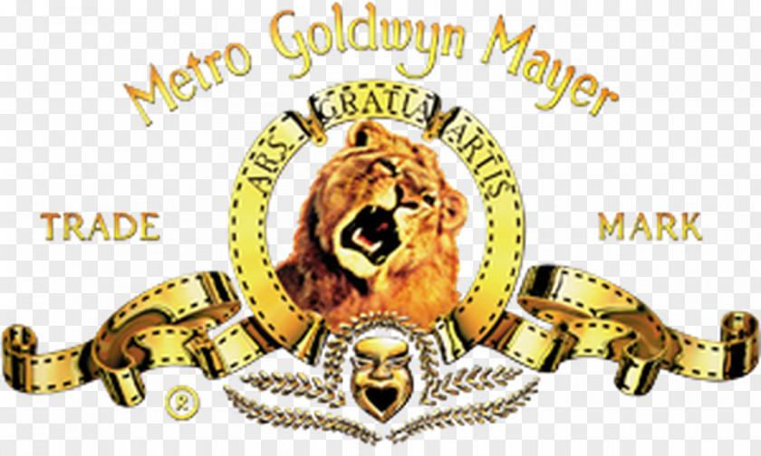 Lion Leo The Metro-Goldwyn-Mayer Film PNG
