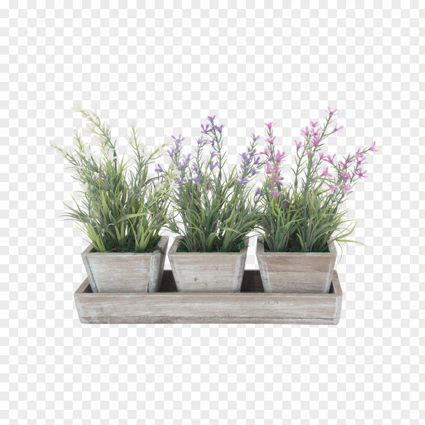 Macetas Herb Flowerpot Rectangle Lavender PNG