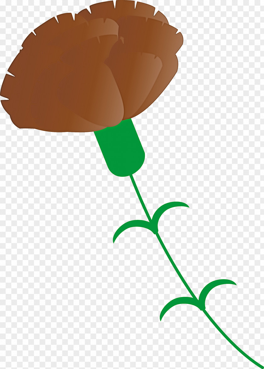 Mothers Day Carnation Flower PNG
