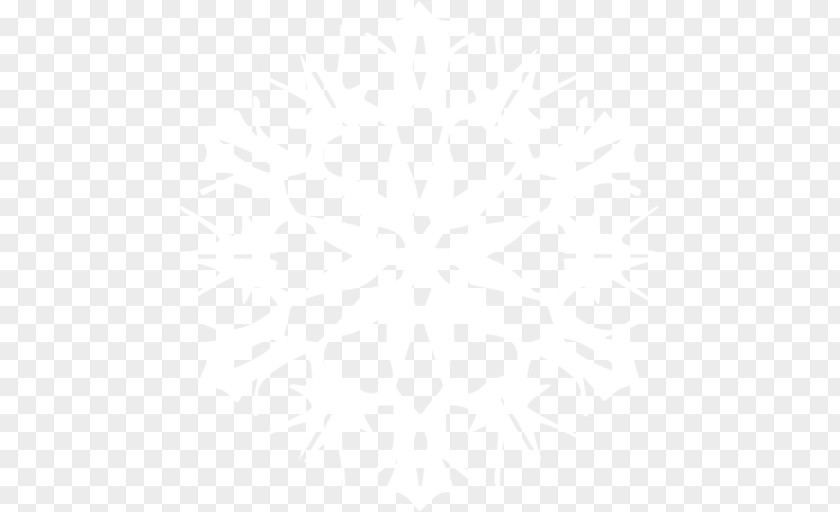 Snowflake Image Symmetry Line Point Angle Pattern PNG
