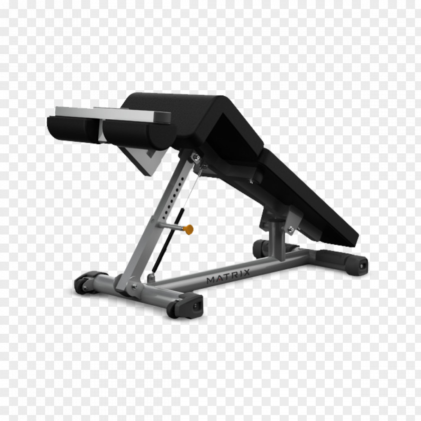 Clever Bench Johnson Fitness Store Hellas Physical Exercise Hyperextension Centre PNG