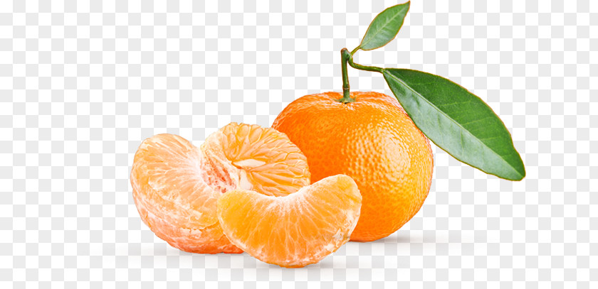 Fresh Fruit Juice Essential Oil Food Bergamot Orange Mandarin PNG