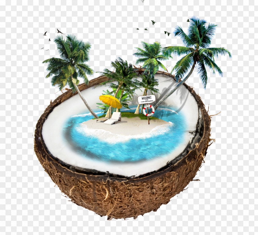 Hainan Psd Coconut Water Image Graphics PNG