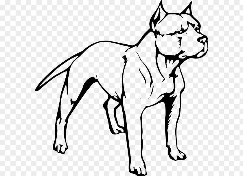 Puppy American Pit Bull Terrier Bully PNG