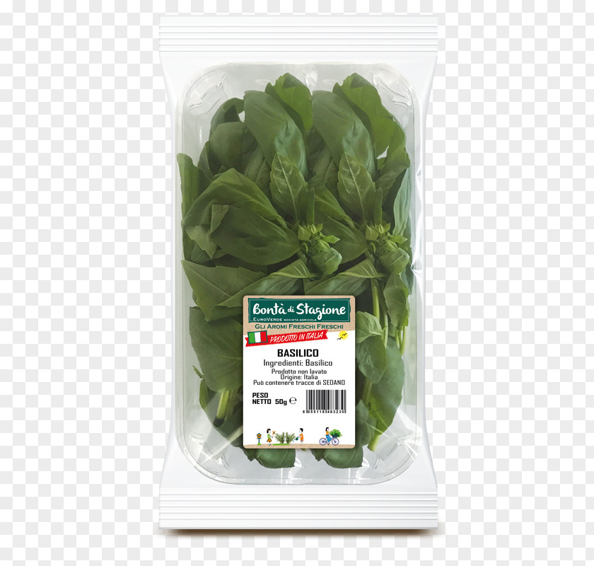 Basil Vegetarian Cuisine Herb Leaf Vegetable Hummus PNG