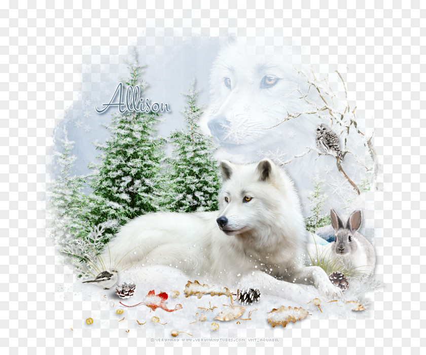 Great White Wolf Canadian Eskimo Dog Greenland American Canidae Arctic Fox PNG