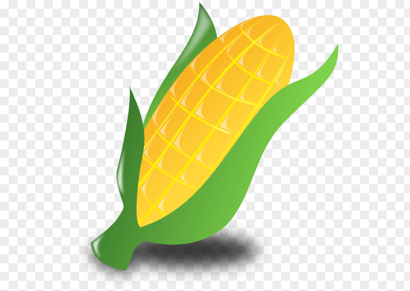 Images Cartoon Of Corn On The Cob Free Content Clip Art PNG