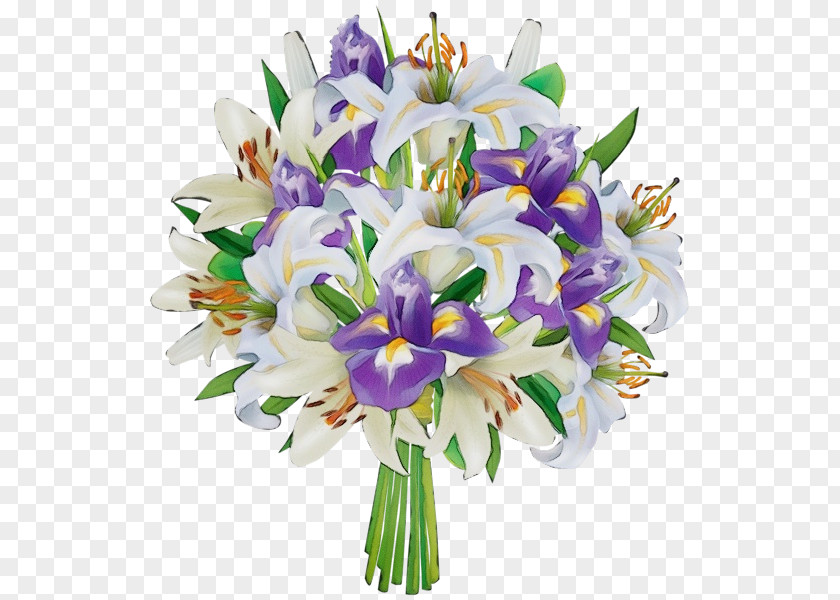 Lily Iris Flower Flowering Plant Cut Flowers Bouquet PNG