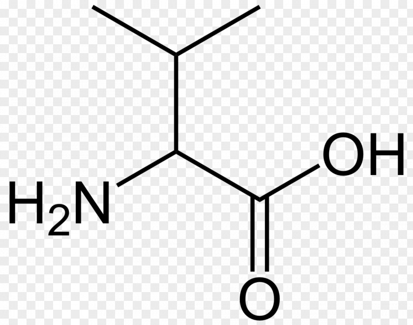 Simple Alanine Amino Acid Aspartic Proline Cysteine PNG