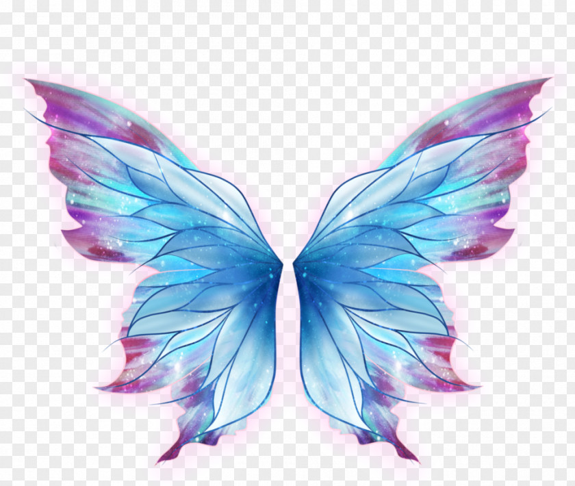 Ali Butterfly Drawing Art PNG