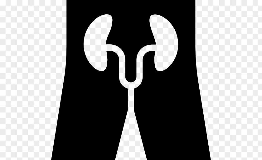 Kidneys Vector Urology Medicine Specialty Health Care Physician PNG