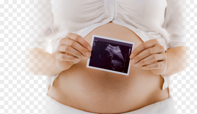 Pregnancy Abdomen Fetus Mother Woman PNG