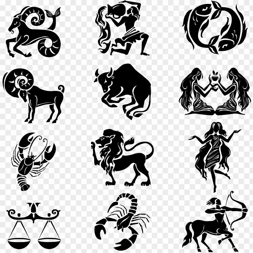 Zodiac Vector Astrological Sign Horoscope Cancer Astrology PNG